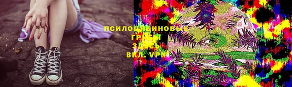 ешки Балахна